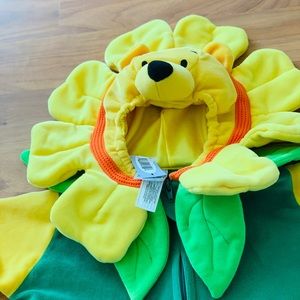 Winnie the Pooh baby costume.